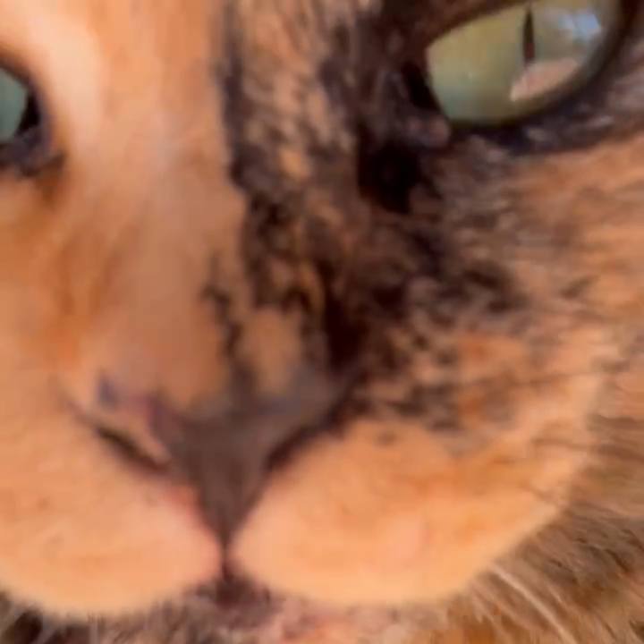 345782f2 dae6 45b4 8d86 6138e30d9f7a 1745636720967