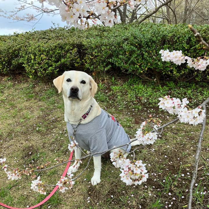 34578a2e 9e3f 4fef a3ad 4163a476b214 1680092893741