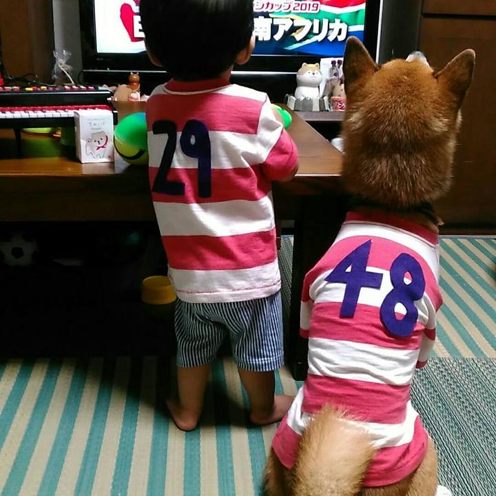 34579dd4 7819 497c 8044 d45dee79dc08 1567767855886