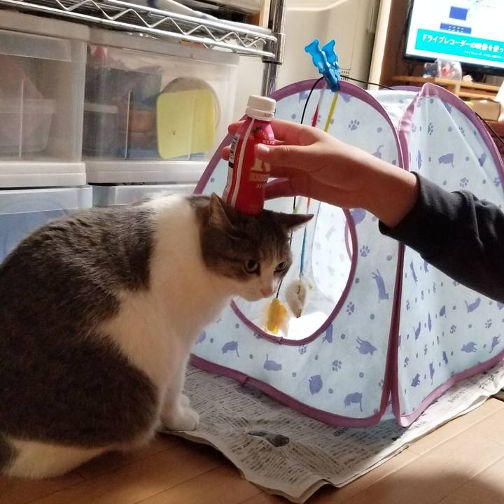 3457bb70 baa6 43b9 a9df b47166d9e478 1635257484878