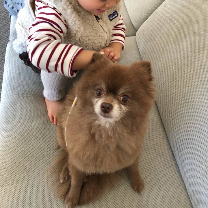 3457c60e f0ef 44f8 ac0f 80b79937e238 1552270488756