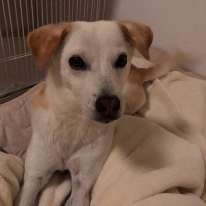 3457c7c3 1ad5 41c8 98b0 7a616c66a056 1623715398724