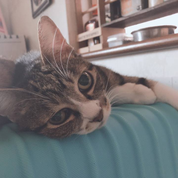 3457d6a7 1e02 4b26 9a27 278c4df6d2f0 1568464860790