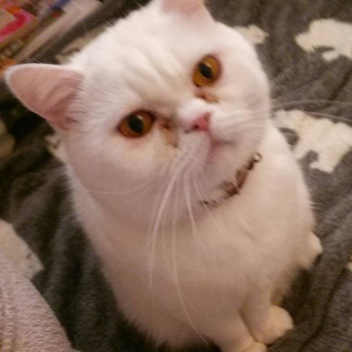 3457d6ad 43ae 4fbc a199 0d36423c0640 1516938285657