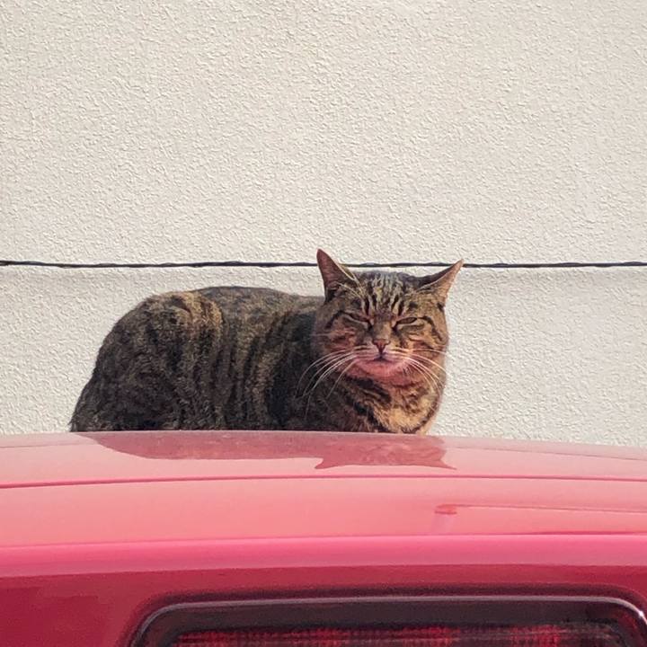 3457dc65 5228 4bb0 841a bd41cd7e488b 1544461055133