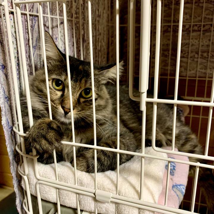 3457e2fa 8832 4d6e b732 569f7a756c9f 1654179681150