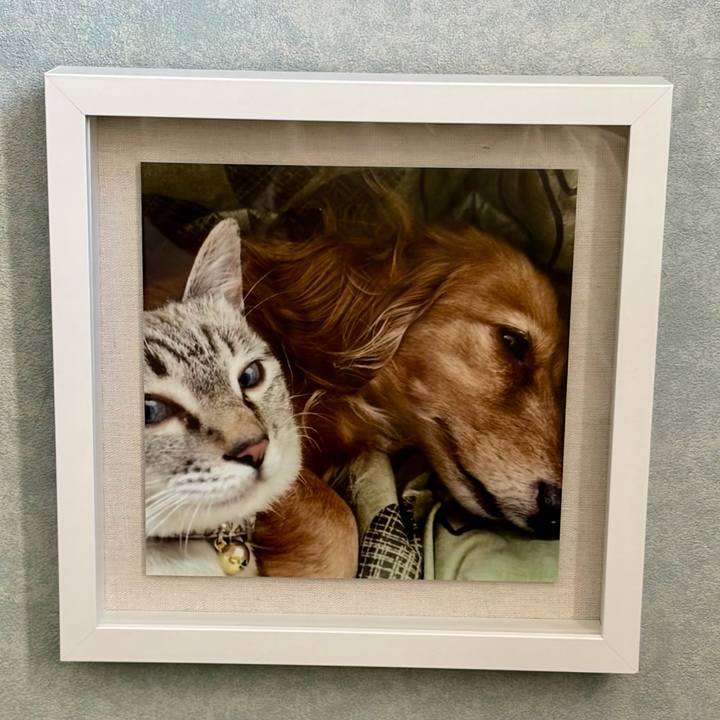 3457f481 5528 4bcb 9be9 e13ded341158 1769149878442