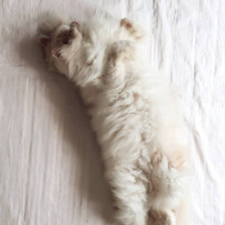 345808ad dea4 4d2f 8cb2 5ec3416b25e9 1596236641684