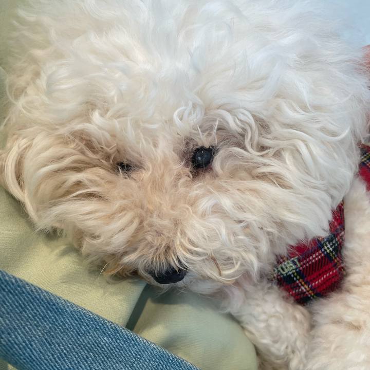 34582243 85ca 4d15 b181 467ca90a5aac 1761122294838