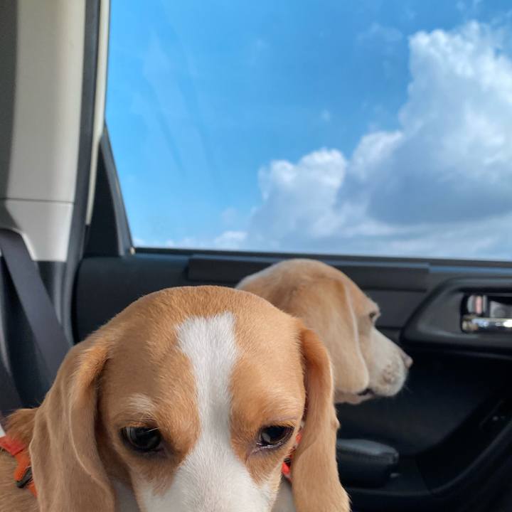 34586017 fd71 465d a61f 2c8f1c017097 1596247928574