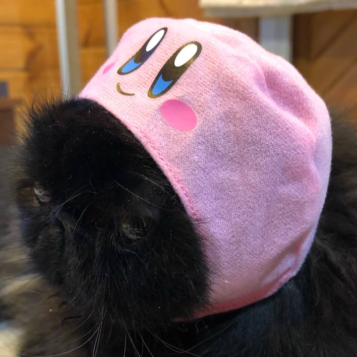 34588269 e478 47a0 b76e e336925fa6d6 1536966683138