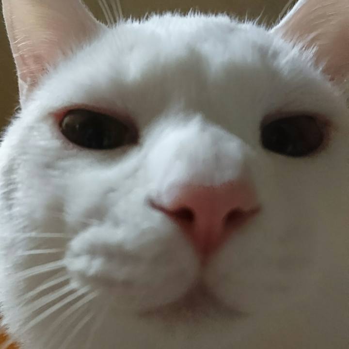 345894be 6568 4409 89f0 b3702408d462 1518271561150