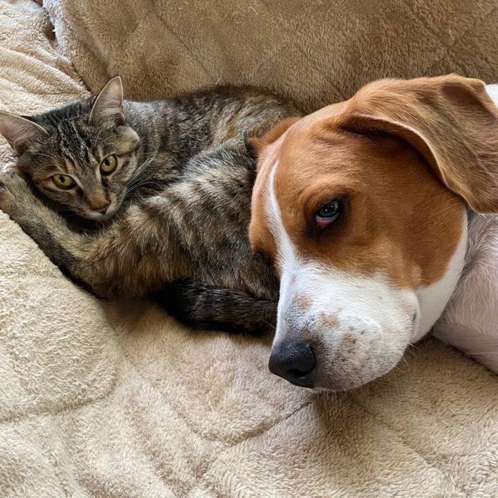 3458a116 31f6 4164 a81c 0481e3ddd62b 1604538684450