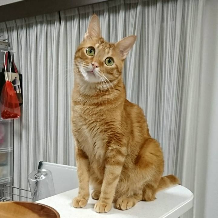 3458af2b ed64 4119 a96d 2417181317ab 1538004660806