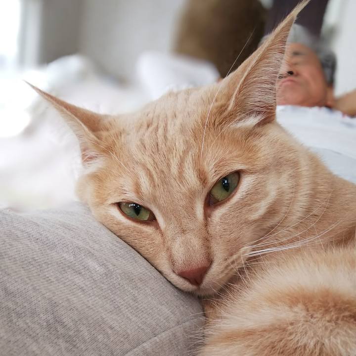 3458d256 73b5 484a 97f0 4c62e12772a8 1579930224810