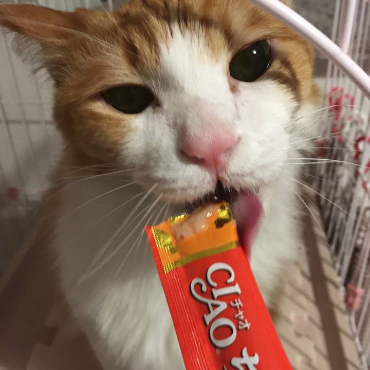 3458d9a6 b22c 4689 8fa1 afa35014839a 1577284143052