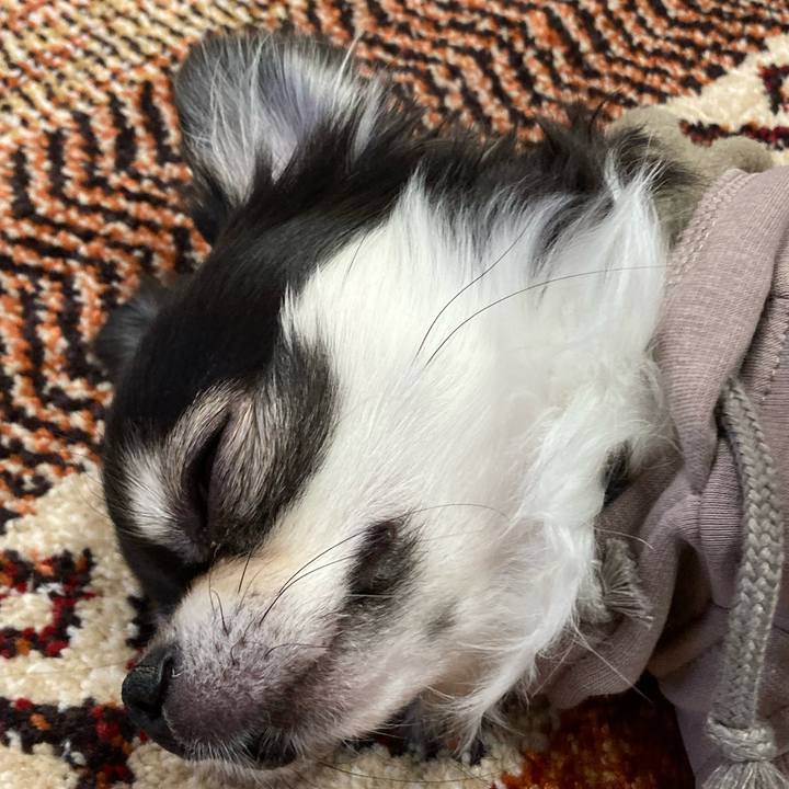 34592933 3b3f 4de6 99ee 814ec5758a43 1671895822166