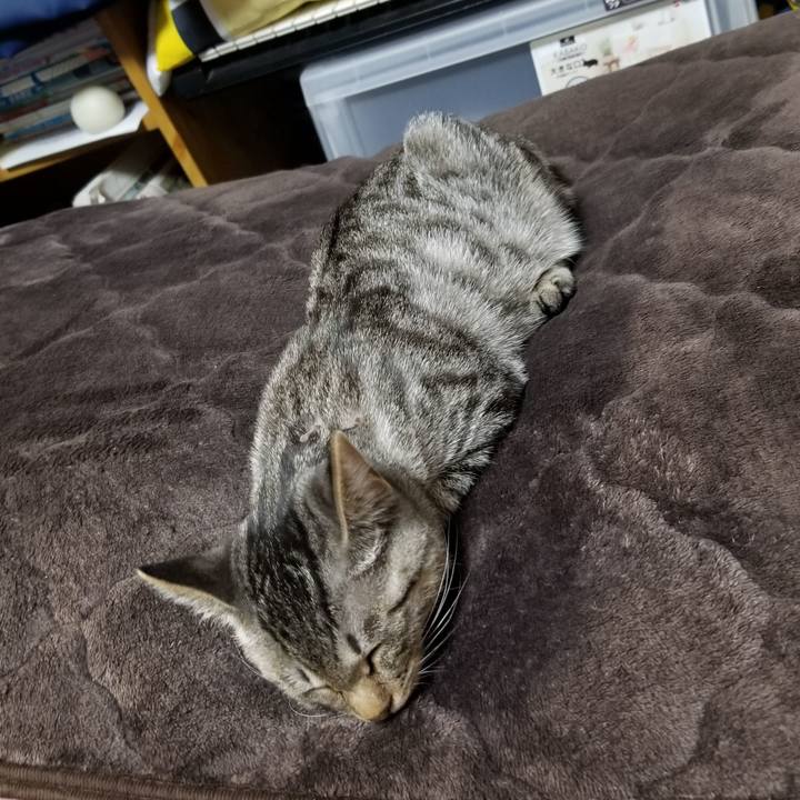 34592ad1 ca62 4c1b a3e2 47c97d327172 1668094957223