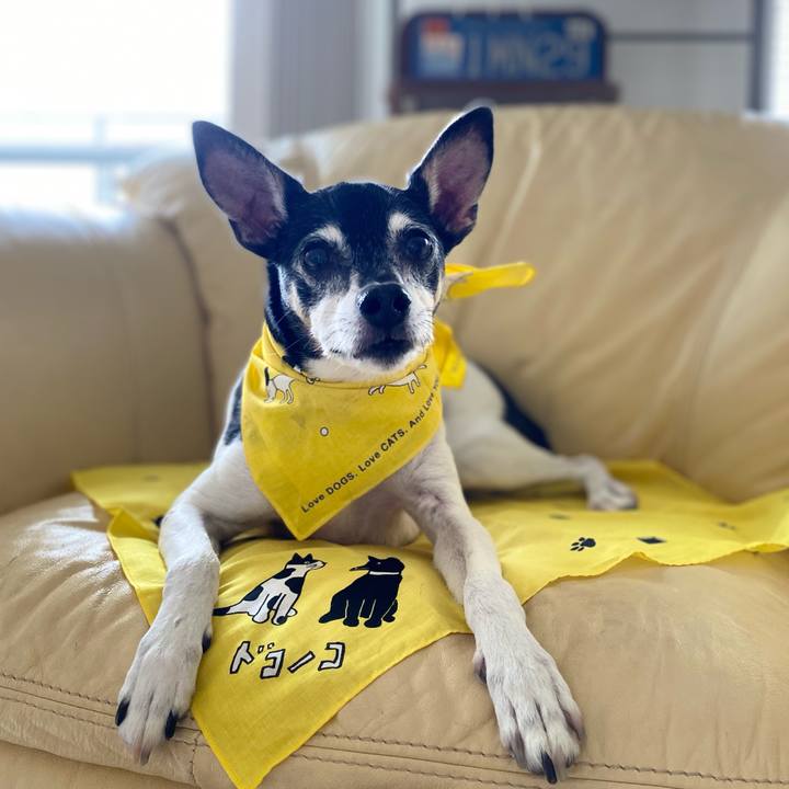 34594d2d 3cd8 4c15 a12b eb2213596428 1622850388112