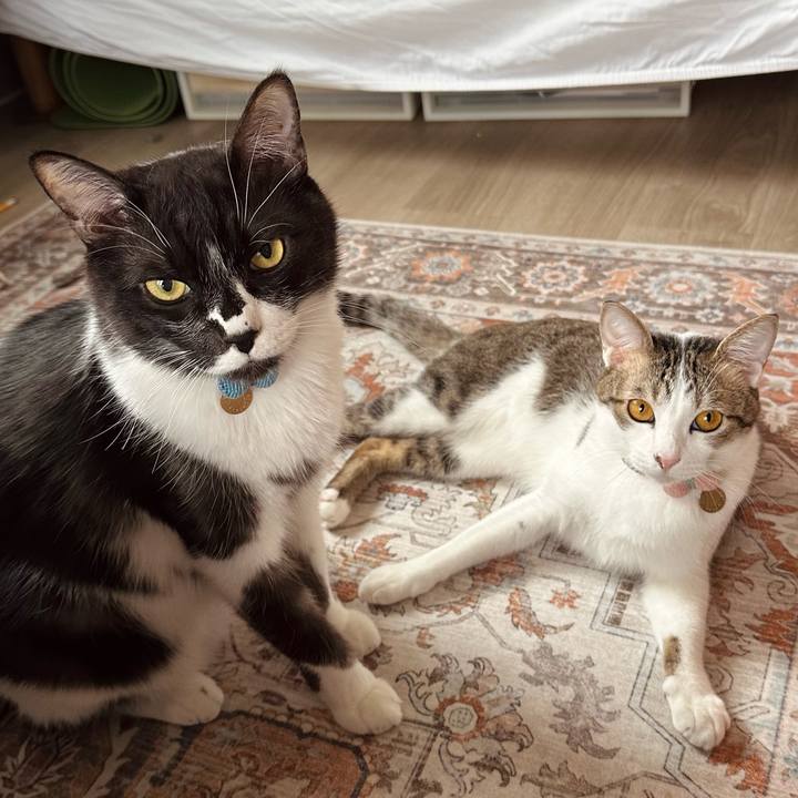 3459bcde a939 4400 91aa c7e77e0c1ee9 1772411623980