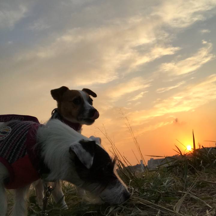 3459fa96 4894 4e6e aed4 18c1a25bb0e2 1510734366852