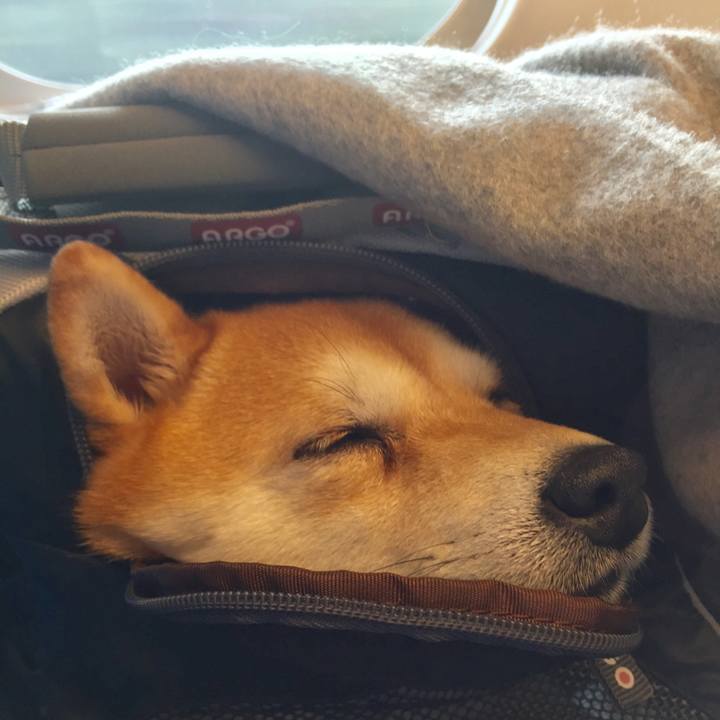 345a40da ae06 46be 81cf 345ba2759ad6 1514093621622