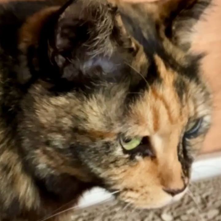 345a5de4 1cd1 4161 96e9 654a55373e70 1740800389411