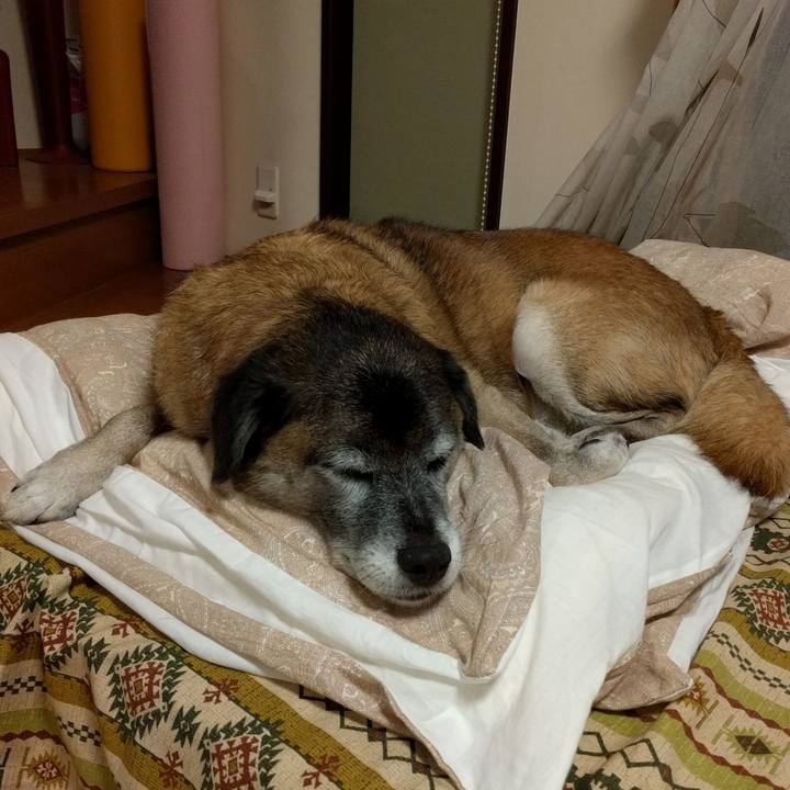 345a68cf 7053 4ca1 9ffd 1cb03266c626 1508411450146