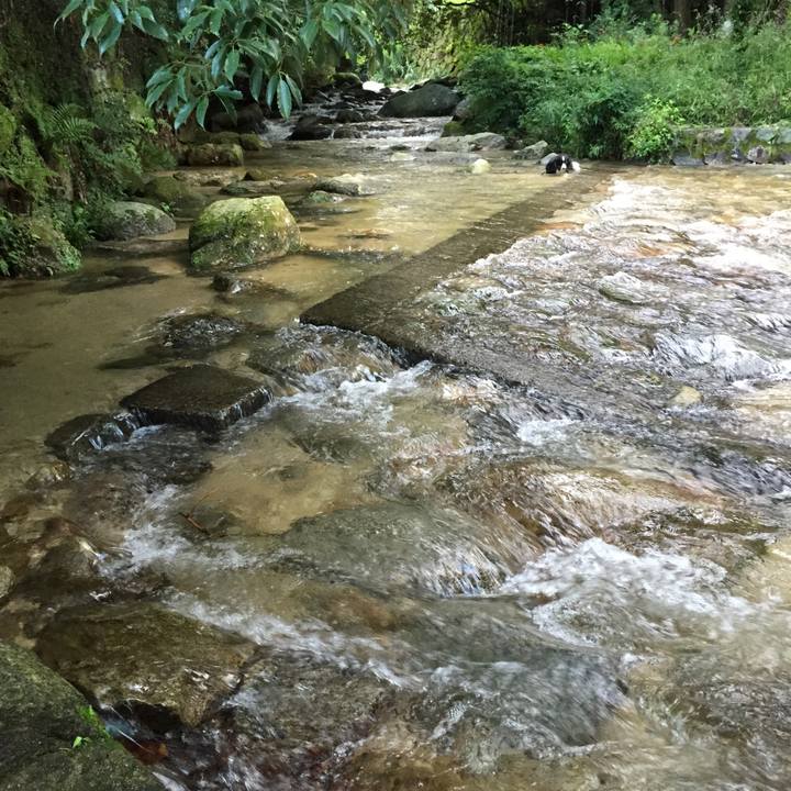 345a994c a369 461f 92a8 d3a19e9a19d7 1530447526609