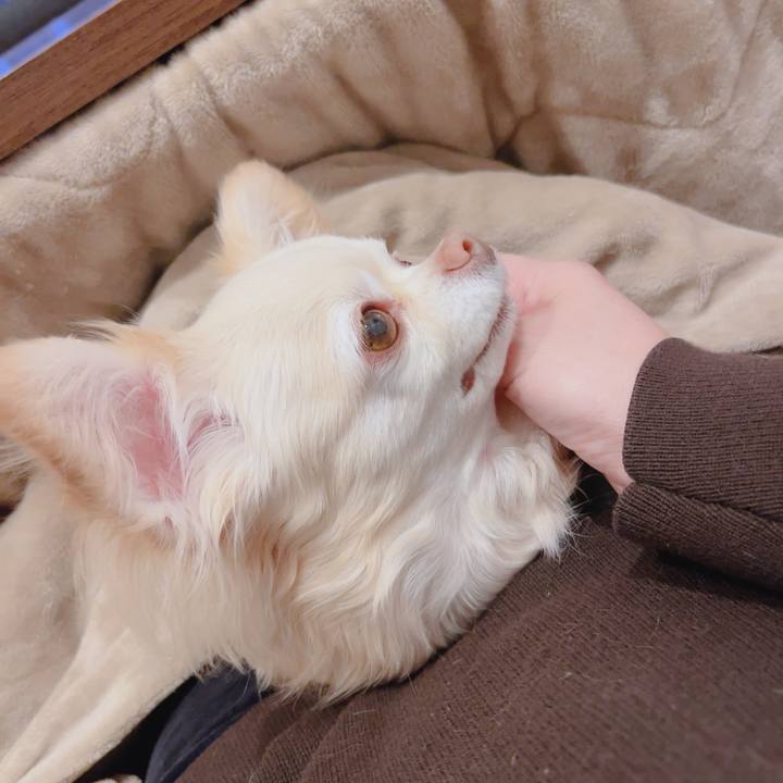 345acbe0 8143 48d3 8cdf 49e1554ea8d0 1773137412886