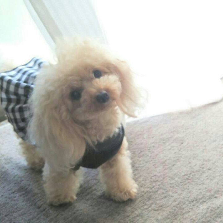 345b09aa c81e 445b b5a8 e5c269752986 1538531199146