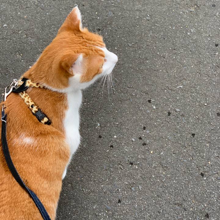 345b1f5e 4145 44db a505 3cbcb3bdf218 1596838502295