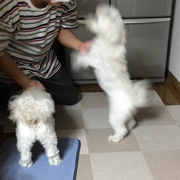 345b5678 5e26 45d9 b2d6 b82b14239941 1536148913975