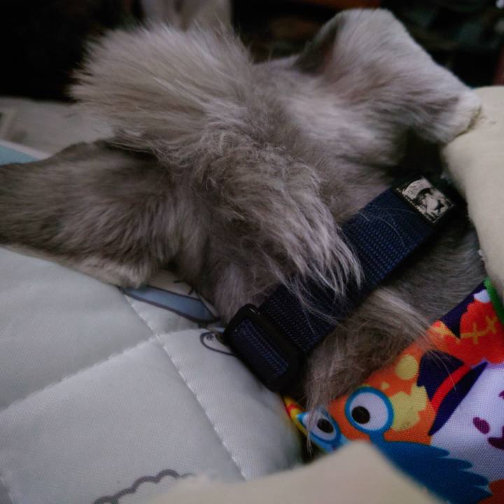 345b69a5 c00b 4983 8c90 999ff5d7453a 1760570758396