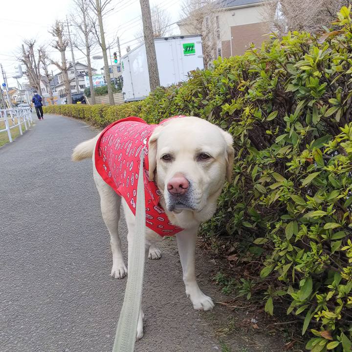 345b708f da04 4ef9 af71 b57ae24d7a40 1581297231308