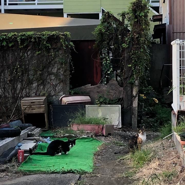 345b9518 3d7d 4944 bb28 6b65941ea3fc 1600705737525