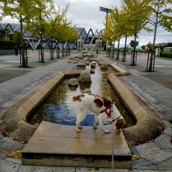 345b9a37 2a27 41f0 acad e19618b969ad 1536578366248