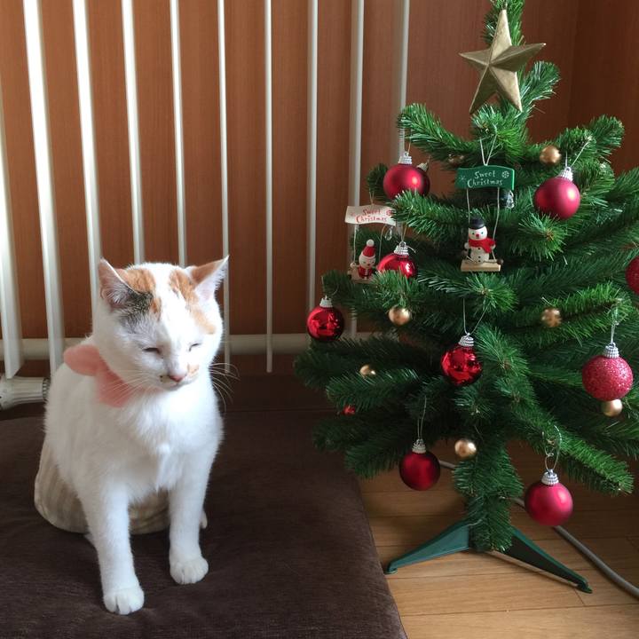 345b9d20 6ba0 42dc 8f36 1a433f3d68c3 1511943697761