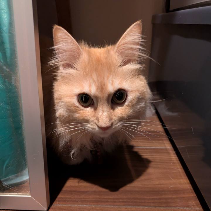 345bc6fd d3e3 4ff6 8bff cf4a71500128 1756290182411