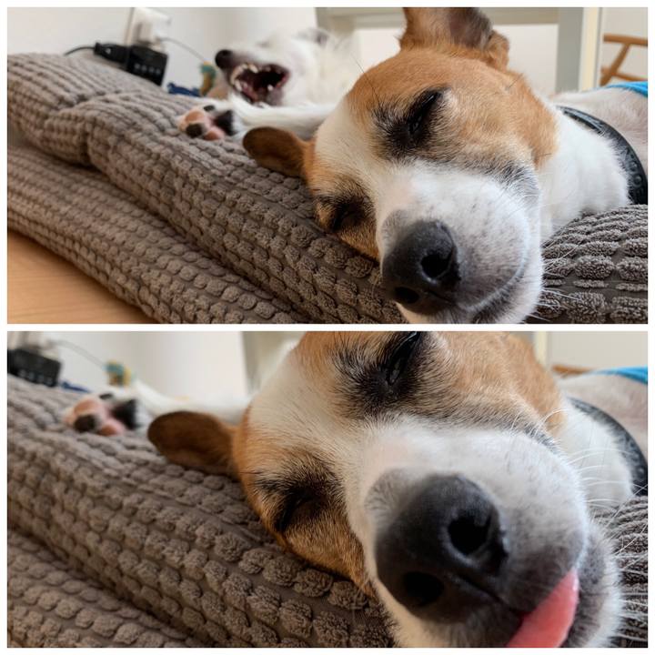 345be43f e62b 49d5 814b 18f5b0e68cc1 1561092980612