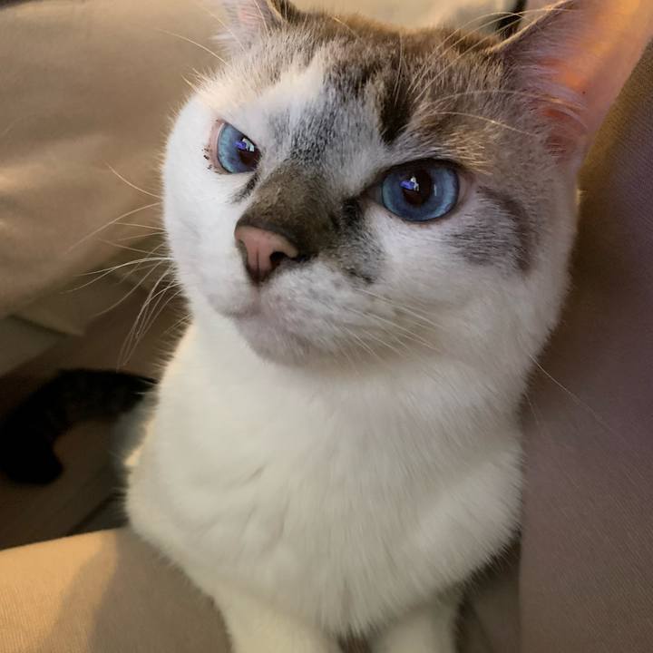 345c2347 eac1 487f aa98 e72f0174ebdd 1613277794621