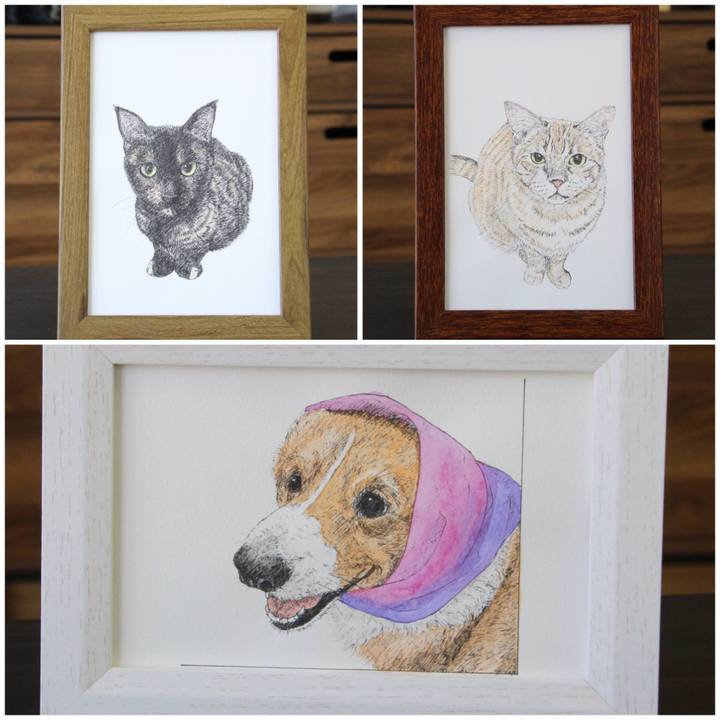 345c558a 165d 4b1a 8083 a6aa9304a173 1748349412279