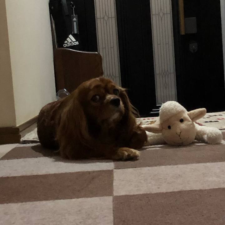 345c912b 03c6 4ba4 a656 44e42f95b58b 1602080981184