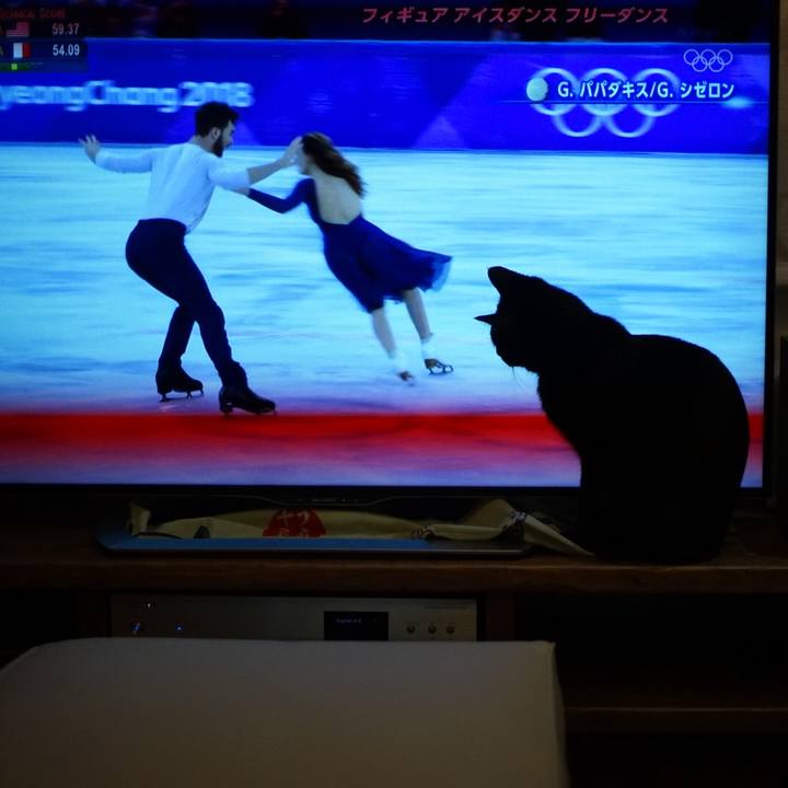 345cac0b c6f3 4cfc 99c2 96675bedda79 1519124081782