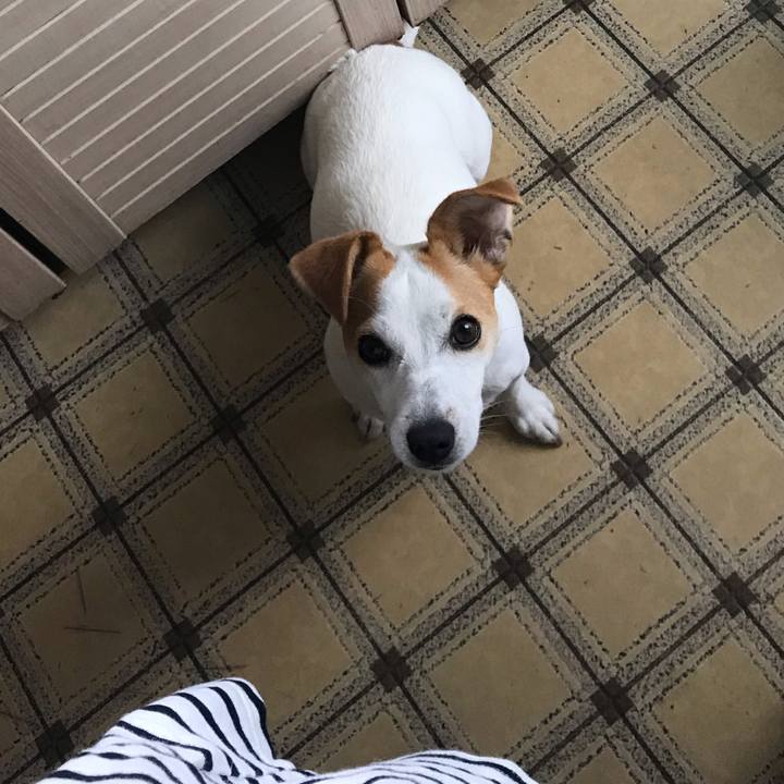 345cc1c8 ef6d 43b6 b9ec eb50be6ca598 1590140725043