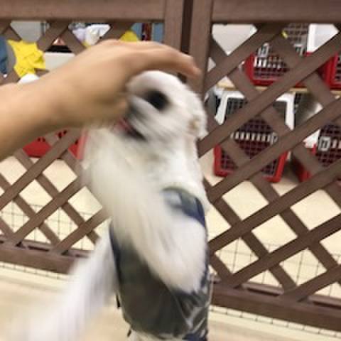 345cc3ea 71db 4d11 8344 0696454f7c40 1510748924870