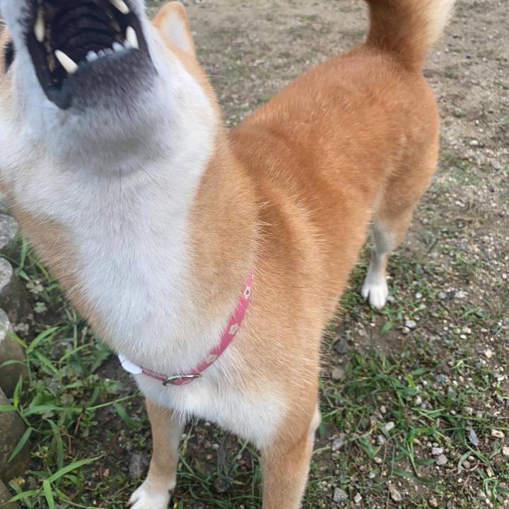 345ce4ae 825a 43bd 8e28 4c781fd46aaa 1665185665162