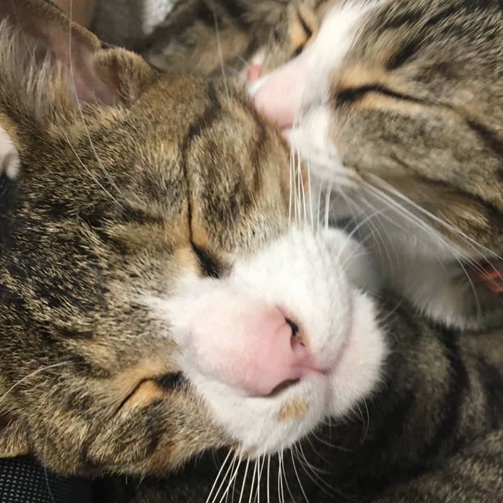 345d1178 2041 4dd1 b259 1b04cd1e23fd 1671225609322