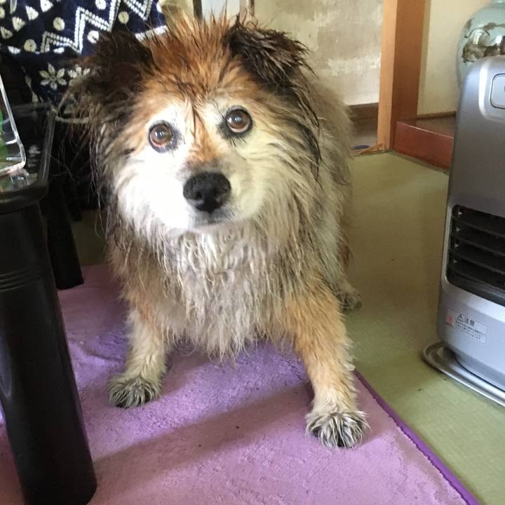 345d1e7f 7ef6 45dd a4ca 49716d5642f0 1601360725951