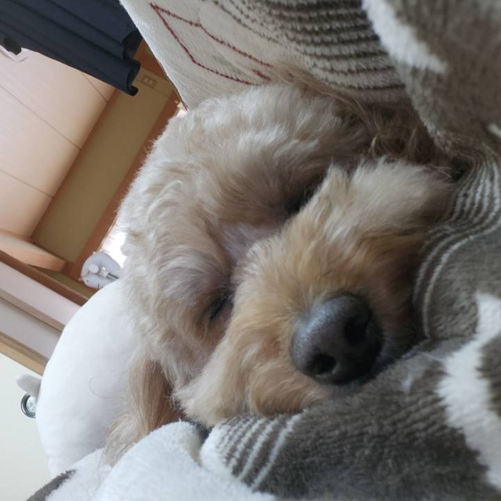 345d645c d9ba 45a6 ac66 3358a787a614 1765694930082